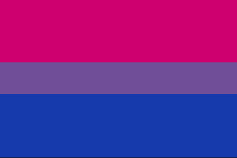 Die Flagge der Bisexuellen: Pink steht Frauen, Blau für Männer, Lila für alle Menschen dazwischen und außerhalb dieser Geschlechter.
