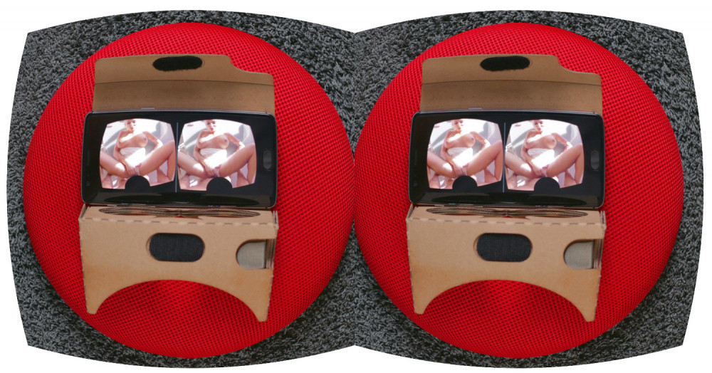 Ein idealer Einstieg für VR Porn: ein Google Cardboard.