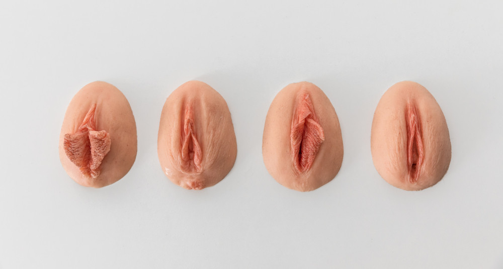 Diese Modelle nutzen Aleksandra und Daniel bei ihren Workshops. Jede Vulva-Form ist einzigartig – auch im realen Leben!