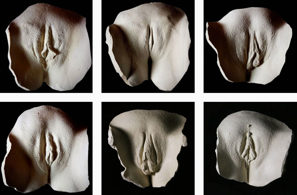 VDe simétricas a carnosas: un proyecto artístico contra la monocultura fenotípica en el mundo femenino.