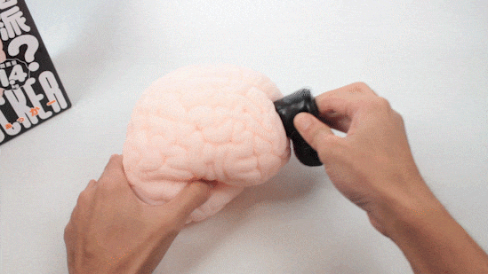 Dieses außergewöhnliche Sexspielzeug kombiniert die Stärken der linken und rechten Gehirnhälfte.