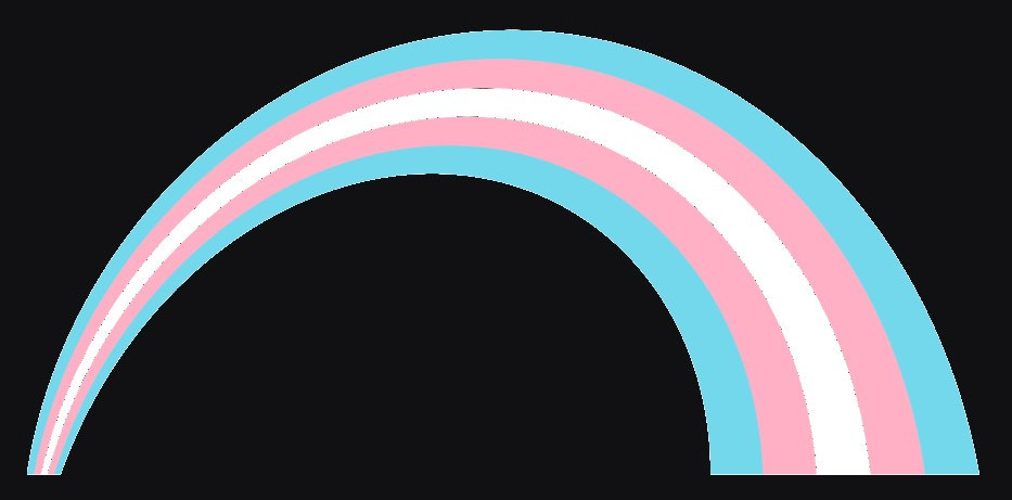 ¿Qué significa ser LGBTQ+?