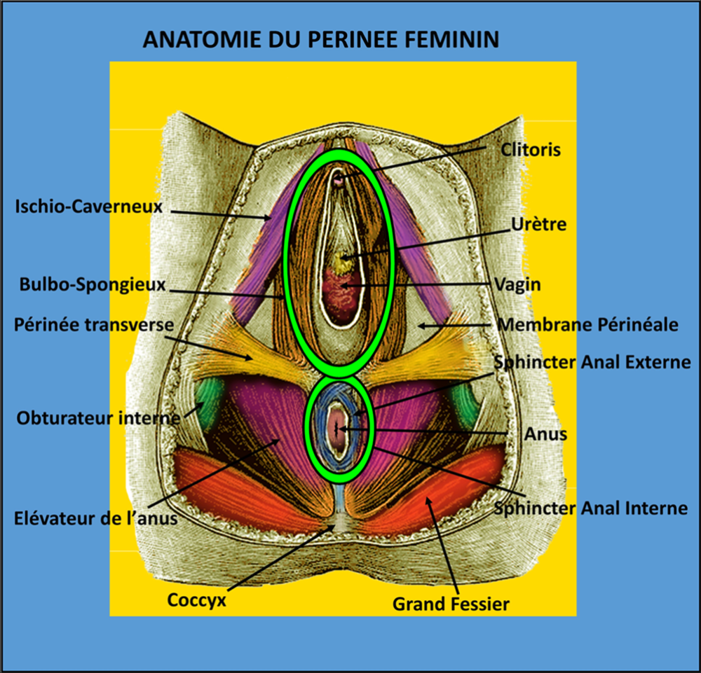 Comment bien pratiquer le fist-fucking