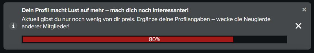 Der Fortschrittsbalken zeigt an, wie gut dein Profil schon bestückt ist.